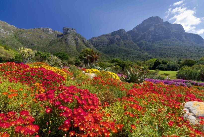 Lowveld National Botanical Garden, South Africa